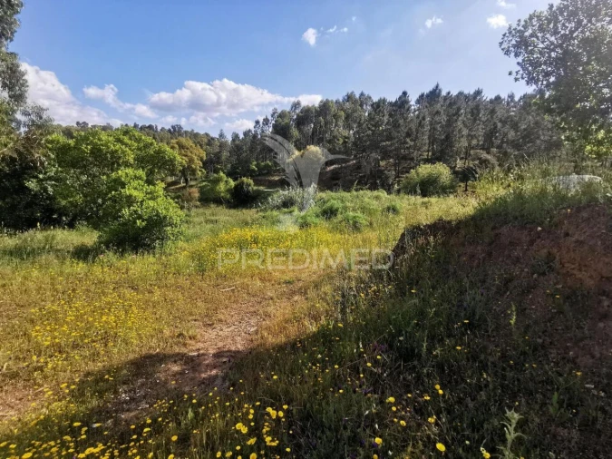 Terreno para Venda em Praia do Ribatejo Foto 38