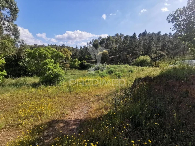 Terreno para Venda em Praia do Ribatejo Foto 37