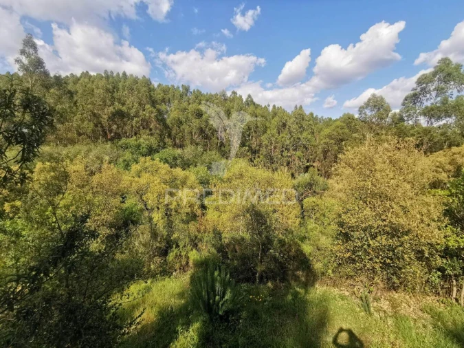 Terreno para Venda em Praia do Ribatejo Foto 17