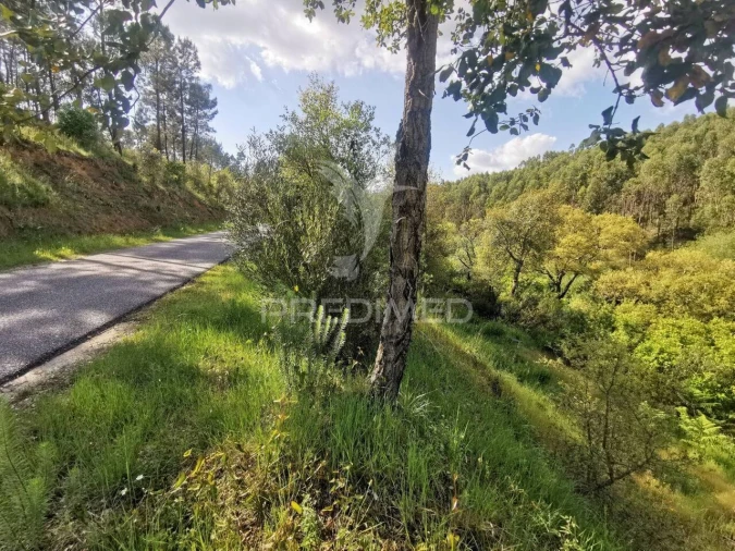 Terreno para Venda em Praia do Ribatejo Foto 4