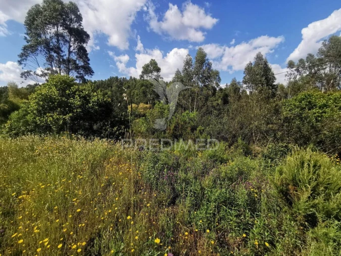 Terreno para Venda em Praia do Ribatejo Foto 32