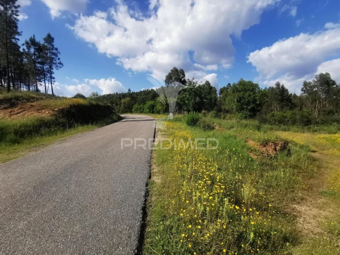Terreno para Venda em Praia do Ribatejo Foto 6