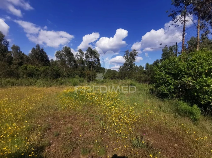 Terreno para Venda em Praia do Ribatejo Foto 28