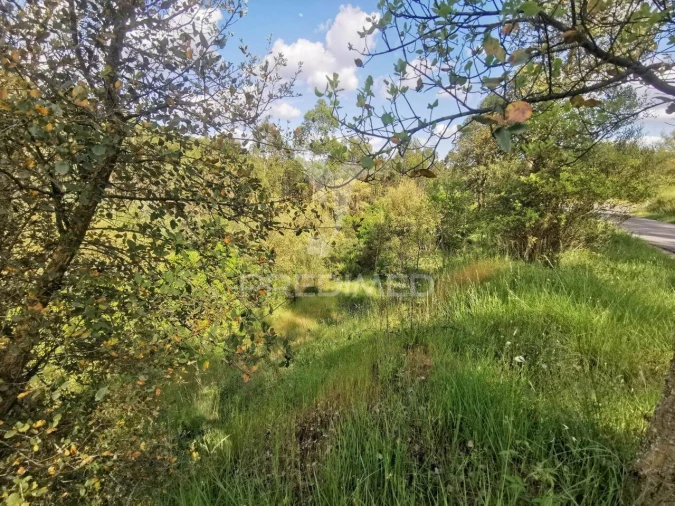 Terreno para Venda em Praia do Ribatejo Foto 15