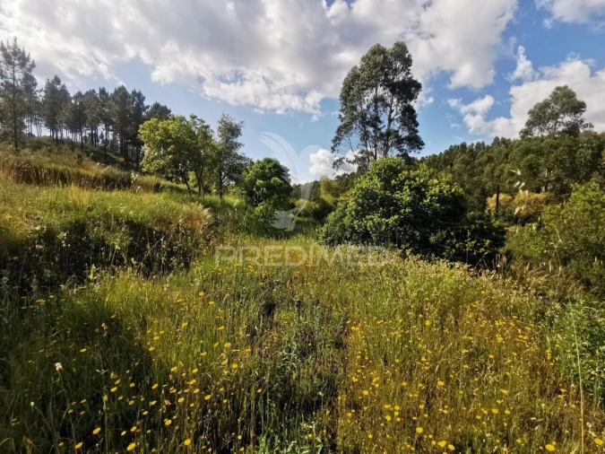 Terreno para Venda em Praia do Ribatejo Foto 31