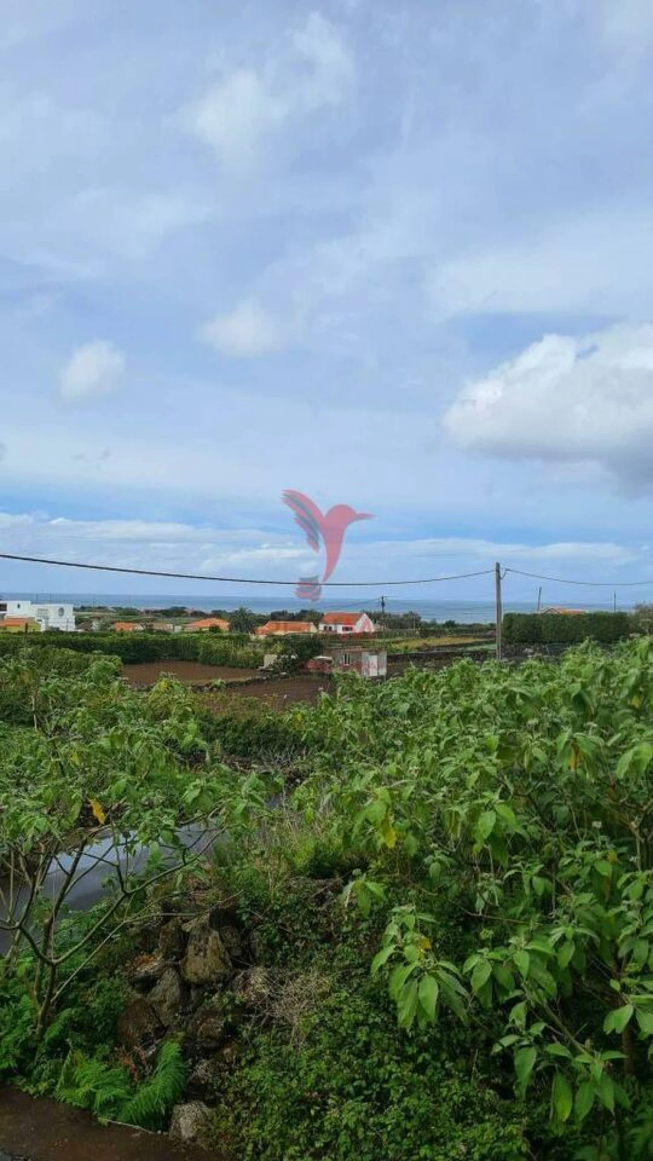 Terreno para Venda em Biscoitos Foto 6