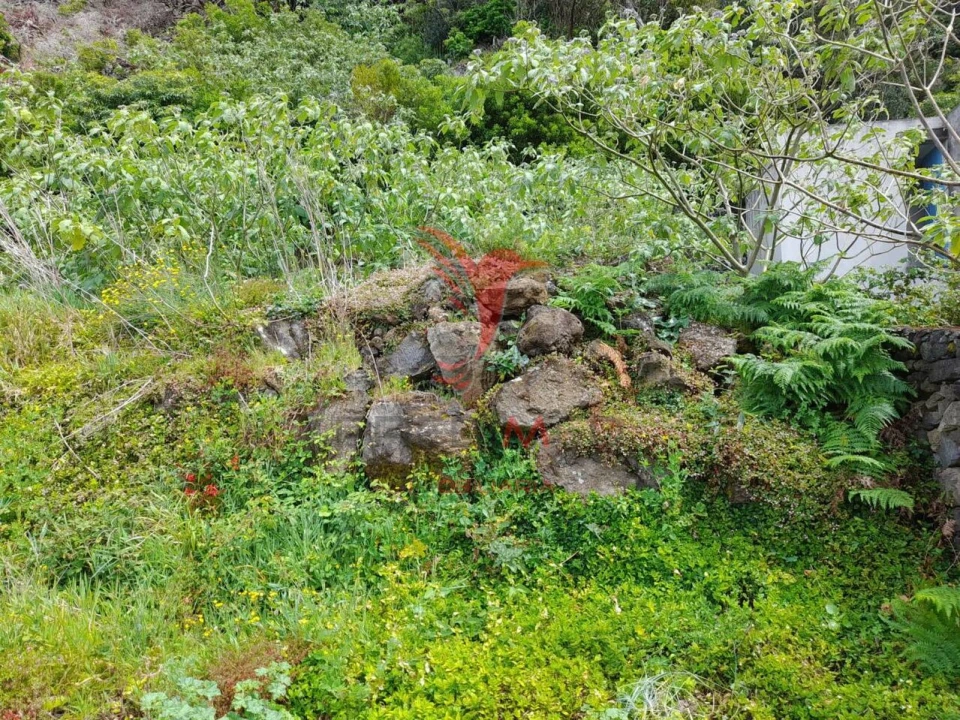 Terreno para Venda em Biscoitos Foto 3