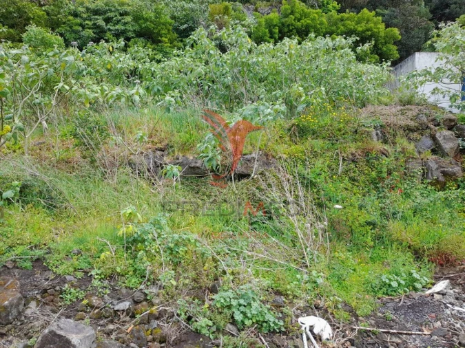 Terreno para Venda em Biscoitos Foto 5