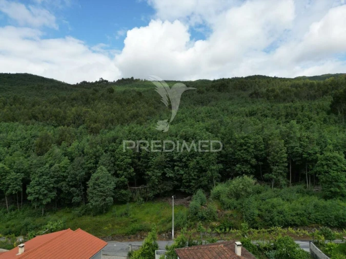 Terreno para Venda em Cavez Foto 14