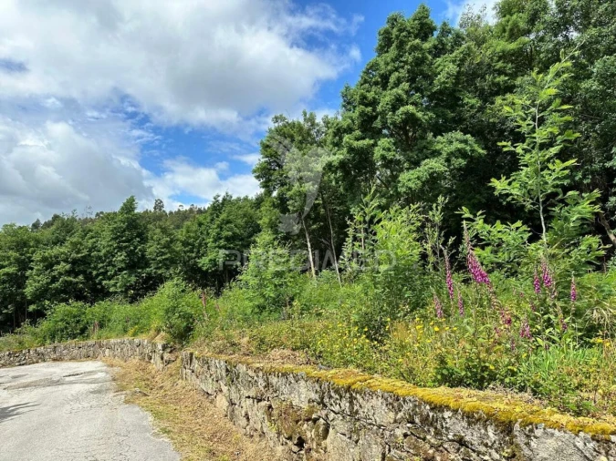 Terreno para Venda em Cavez Foto 2