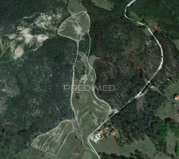 Terreno para Venda em Cavez Foto 5