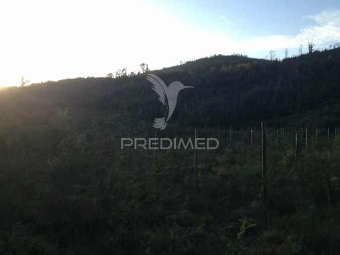 Terreno para Venda em Cavez Foto 11