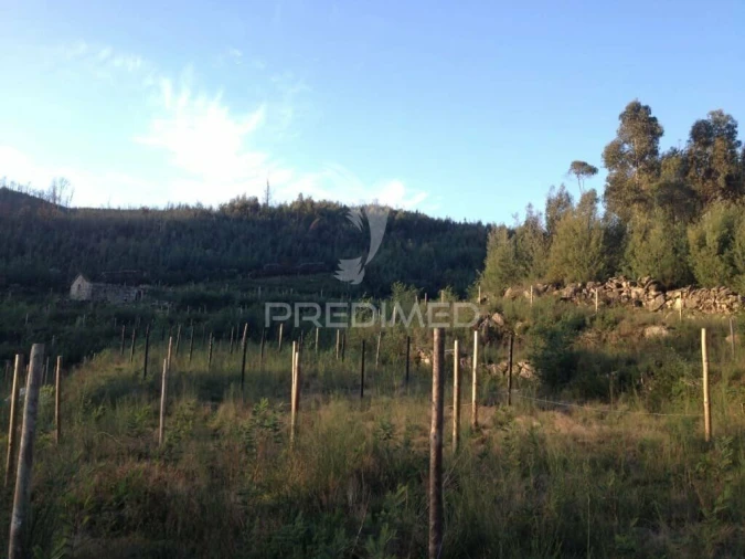 Terreno para Venda em Cavez Foto 10