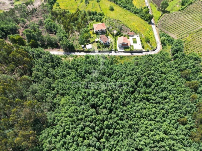 Terreno para Venda em Cavez Foto 13