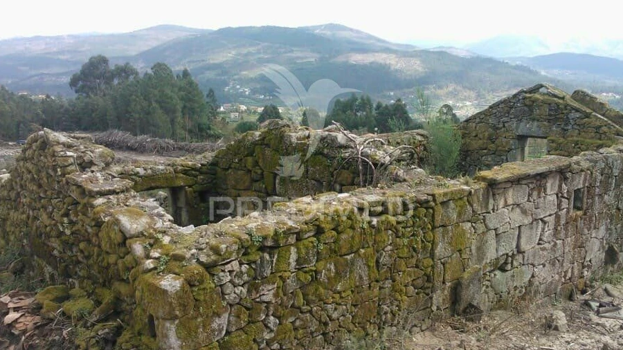 Terreno para Venda em Cavez
