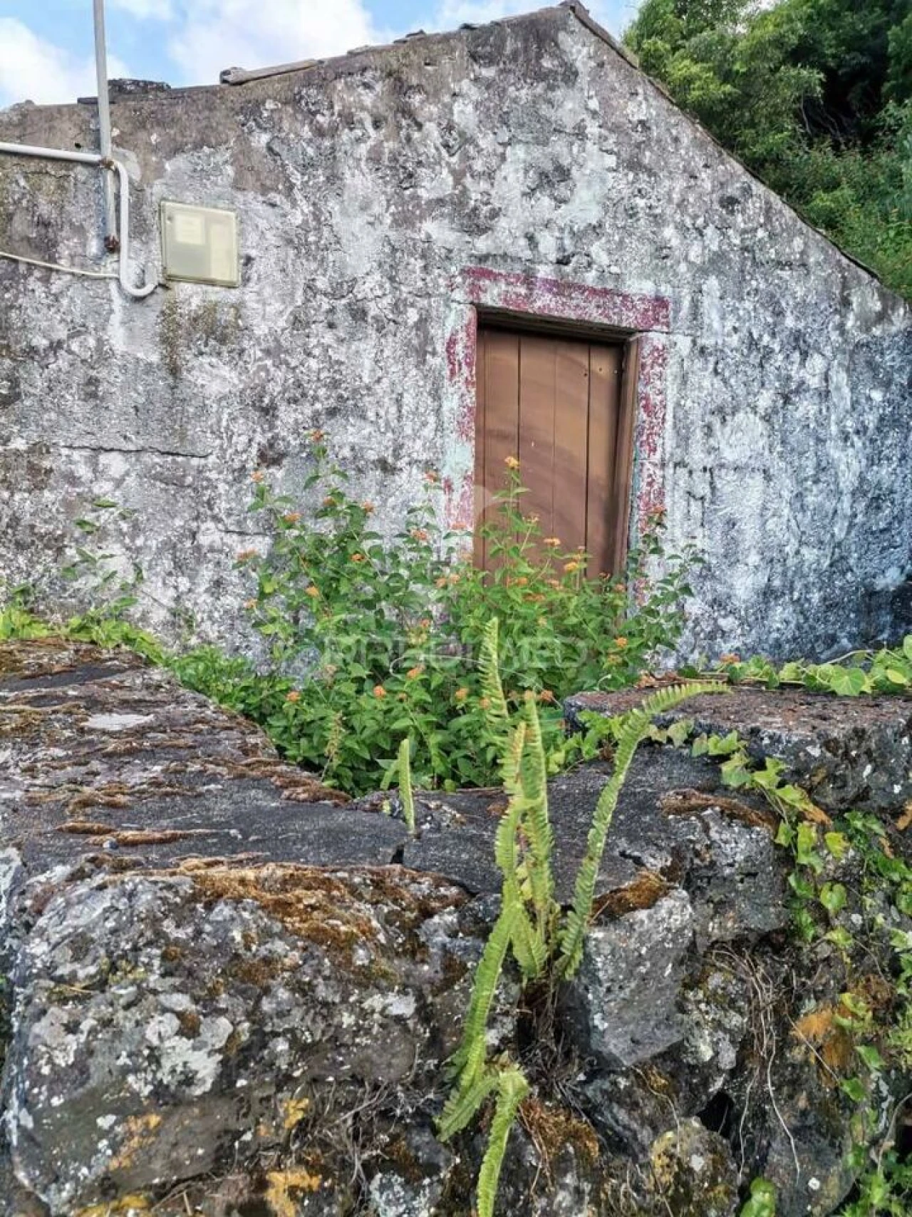 Moradia T2 para Venda em Calheta Foto 3