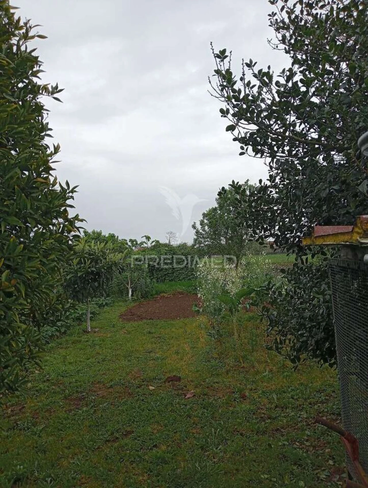 Moradia T4 para Venda em Aradas Foto 13