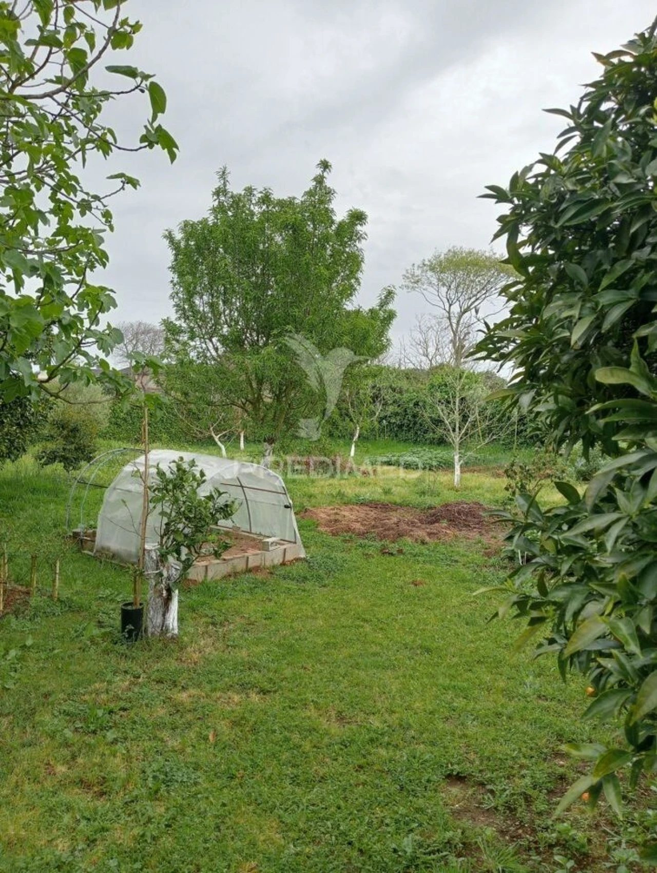 Moradia T4 para Venda em Aradas Foto 14