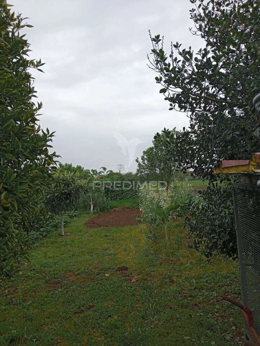 Moradia T4 para Venda em Aradas Foto 13