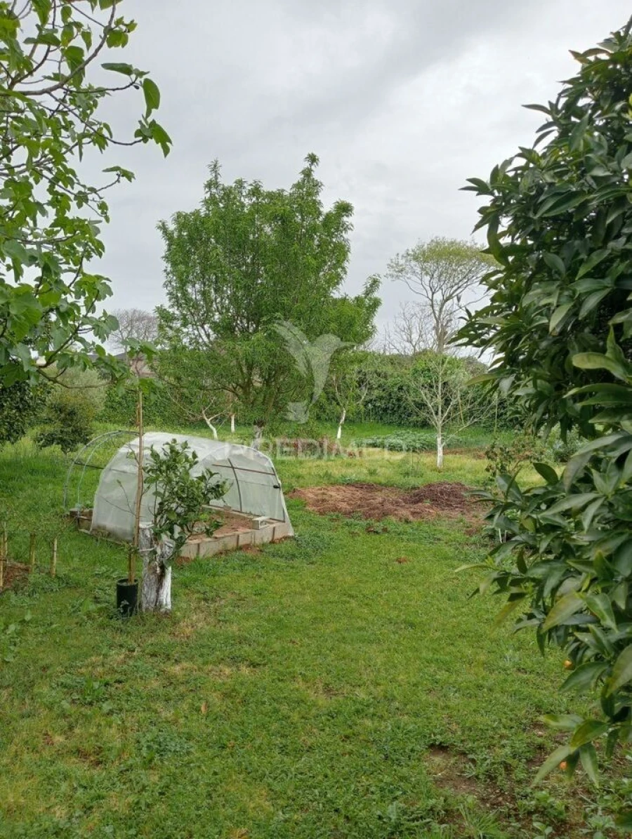 Moradia T4 para Venda em Aradas Foto 14