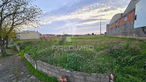 Terreno para Venda em Oliveirinha