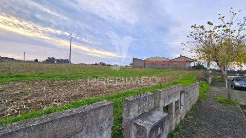 Terreno para Venda em Oliveirinha