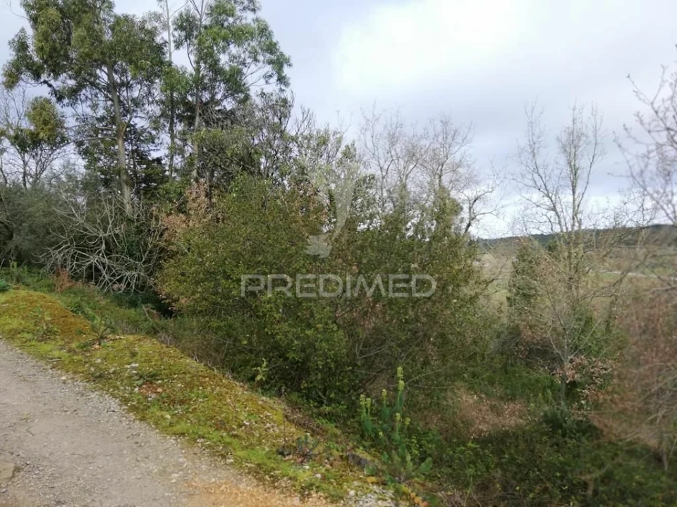 Terreno para Venda em Vila Seca e Bem da Fé Foto 3