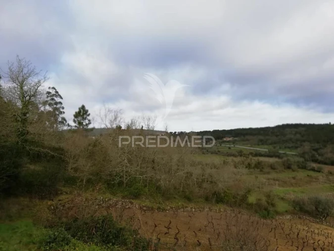 Terreno para Venda em Vila Seca e Bem da Fé Foto 2