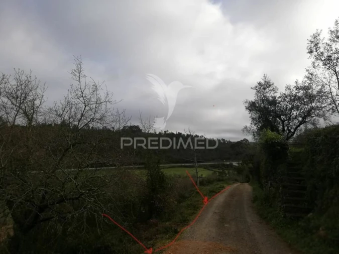 Terreno para Venda em Vila Seca e Bem da Fé Foto 5