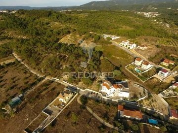 Terreno para Venda em Eiras e São Paulo de Frades