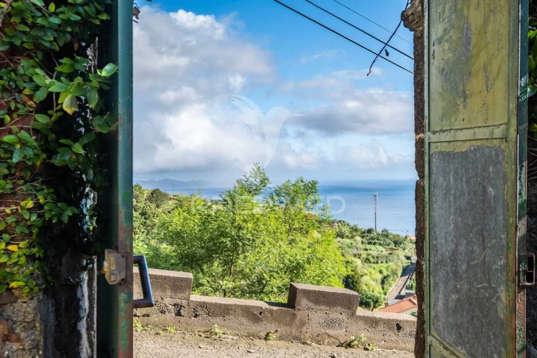 Moradia T4 para Venda em Gaula Foto 3