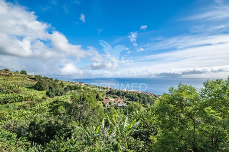 Moradia T4 para Venda em Gaula Foto 23