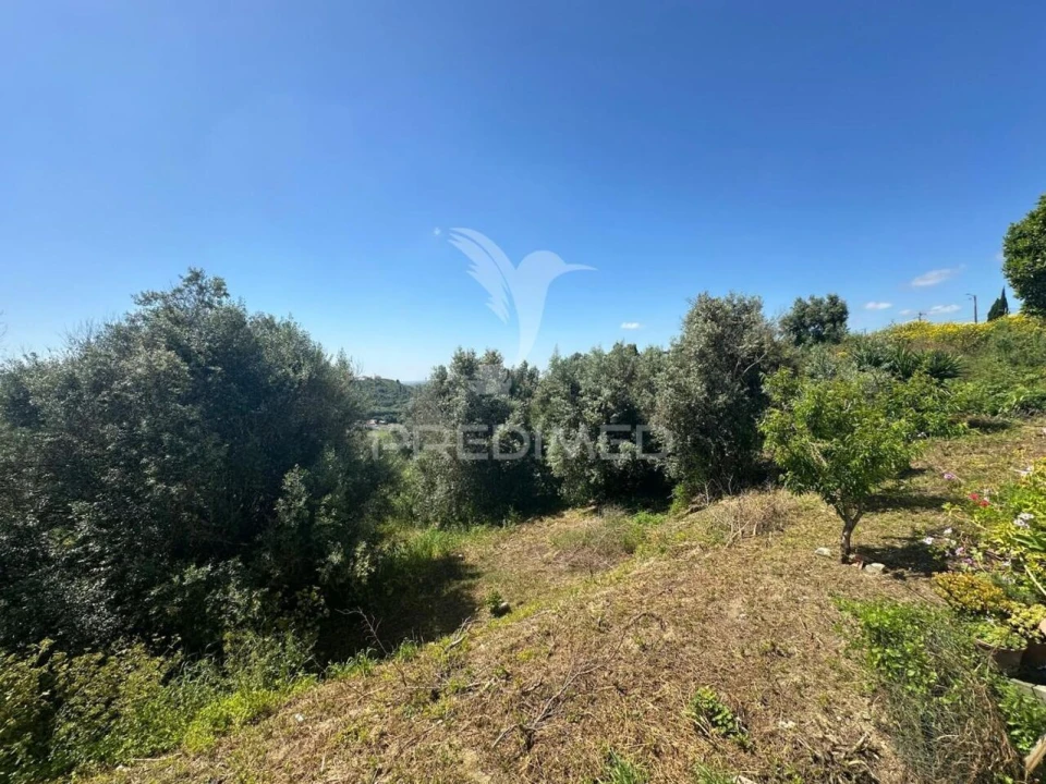 Moradia T3 para Venda em Marvila, Ribeira Santarém, São Salvador, São Nicolau Foto 11