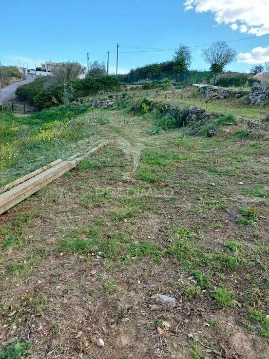 Terreno para Venda em Santo Quintino Foto 11