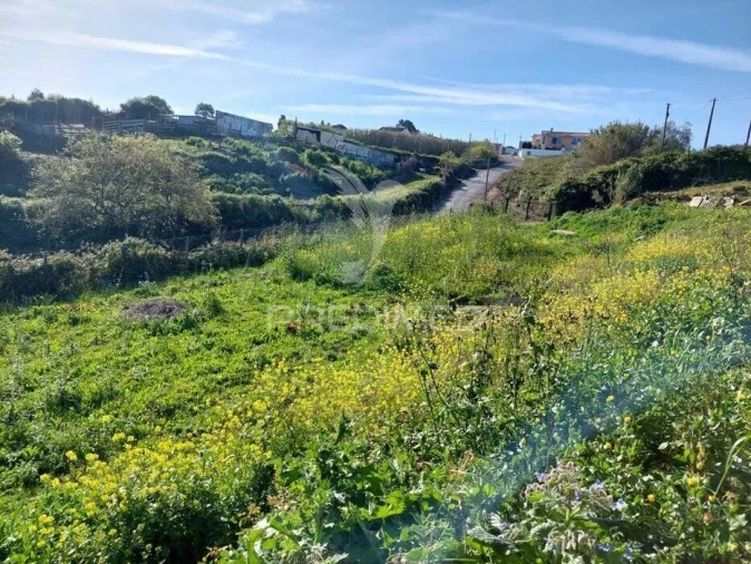Terreno para Venda em Santo Quintino Foto 4