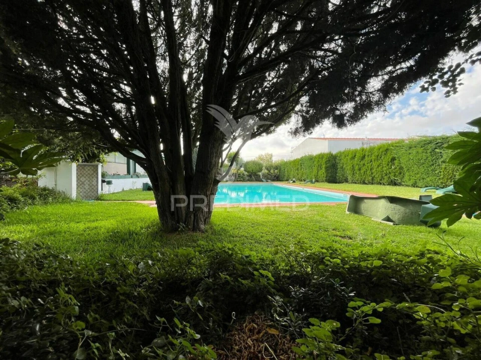 Negócio para Venda em Seixas Foto 9