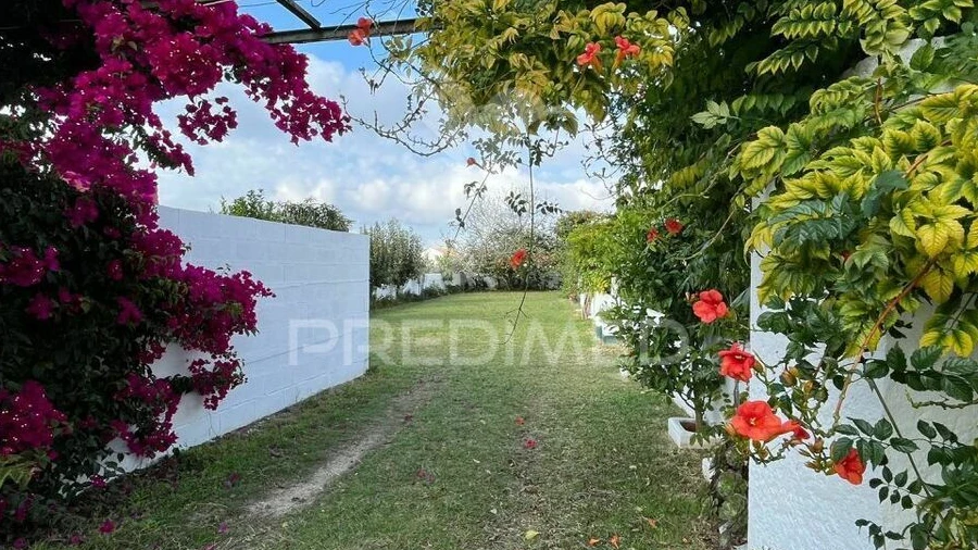 Negócio para Venda em Seixas