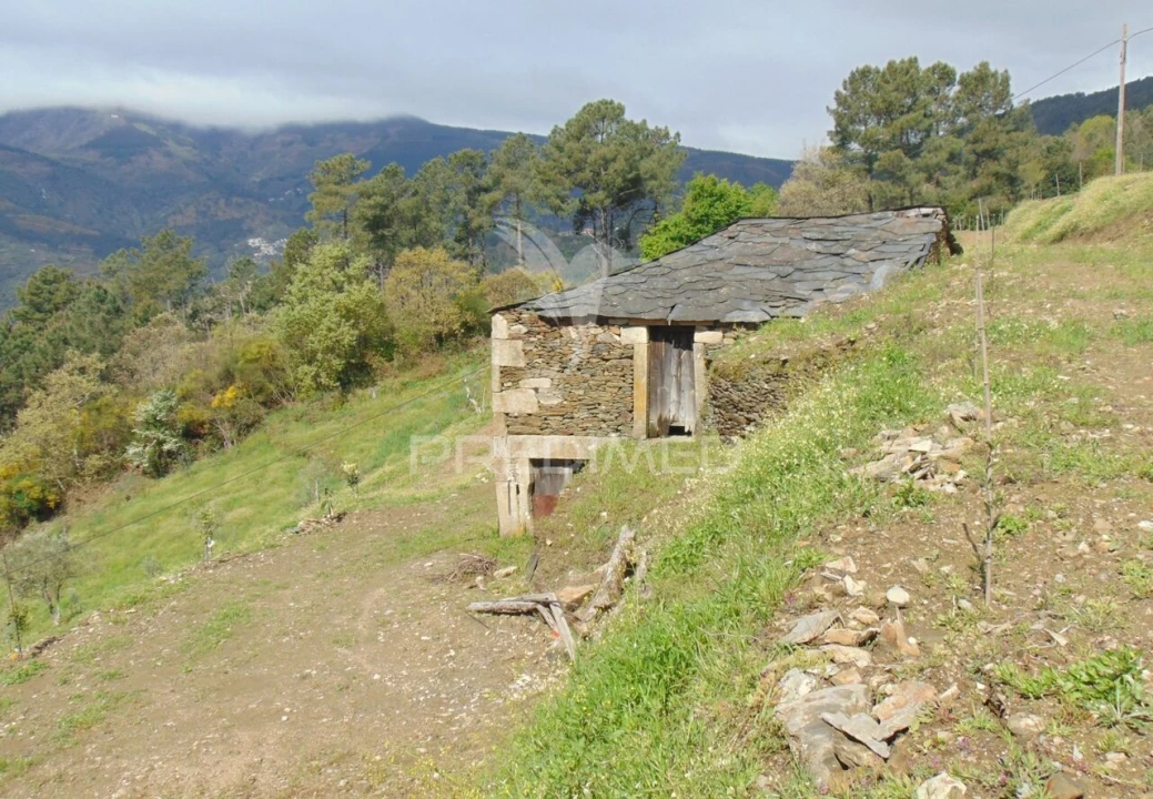 Terreno para Venda em Torgueda Foto 19