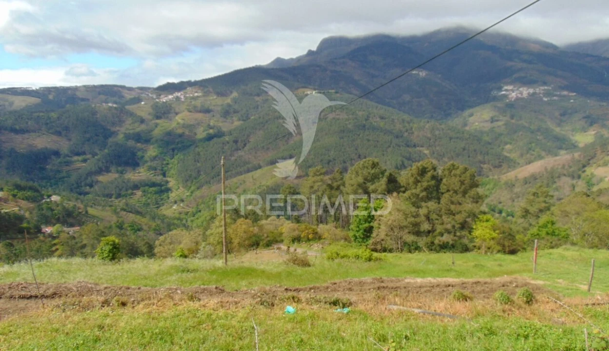 Terreno para Venda em Torgueda Foto 20