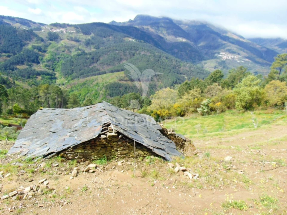 Terreno para Venda em Torgueda Foto 28