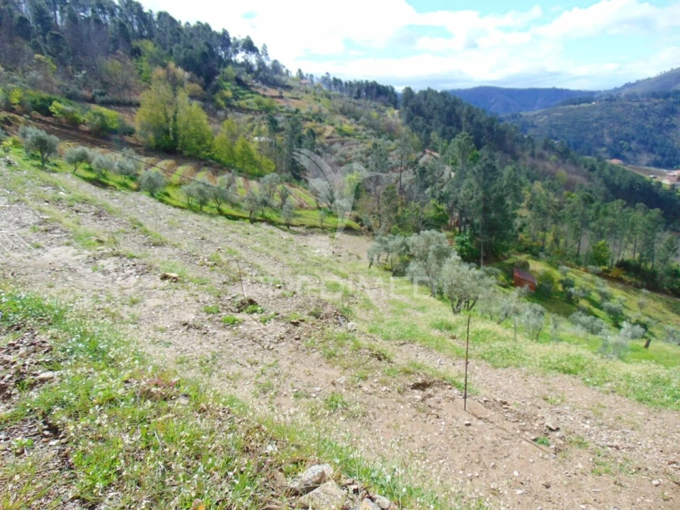 Terreno para Venda em Torgueda Foto 24