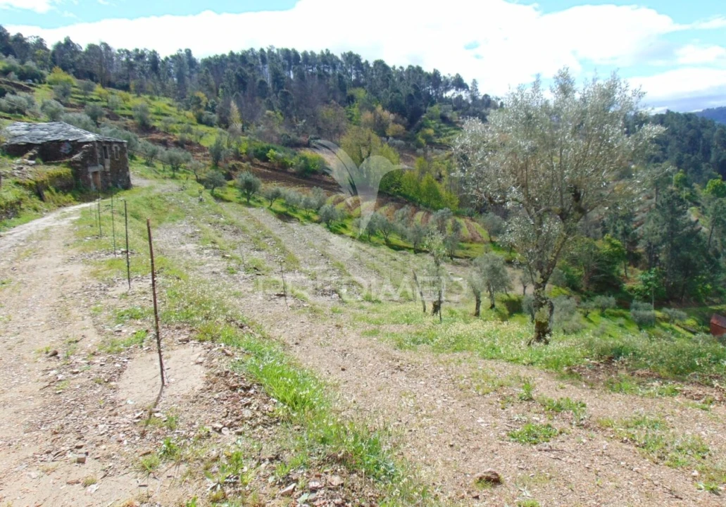 Terreno para Venda em Torgueda Foto 7