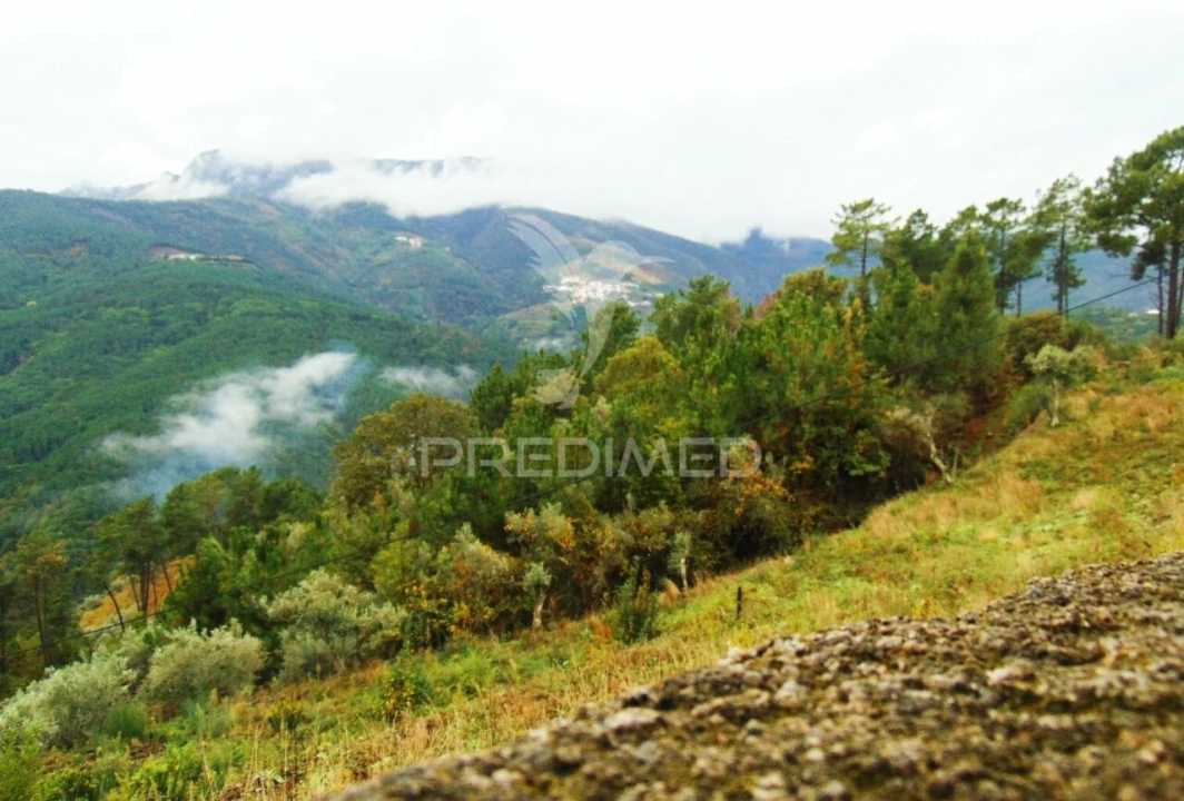 Terreno para Venda em Torgueda Foto 21