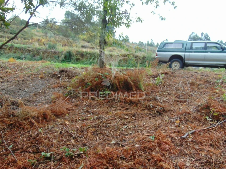 Terreno para Venda em Torgueda Foto 39