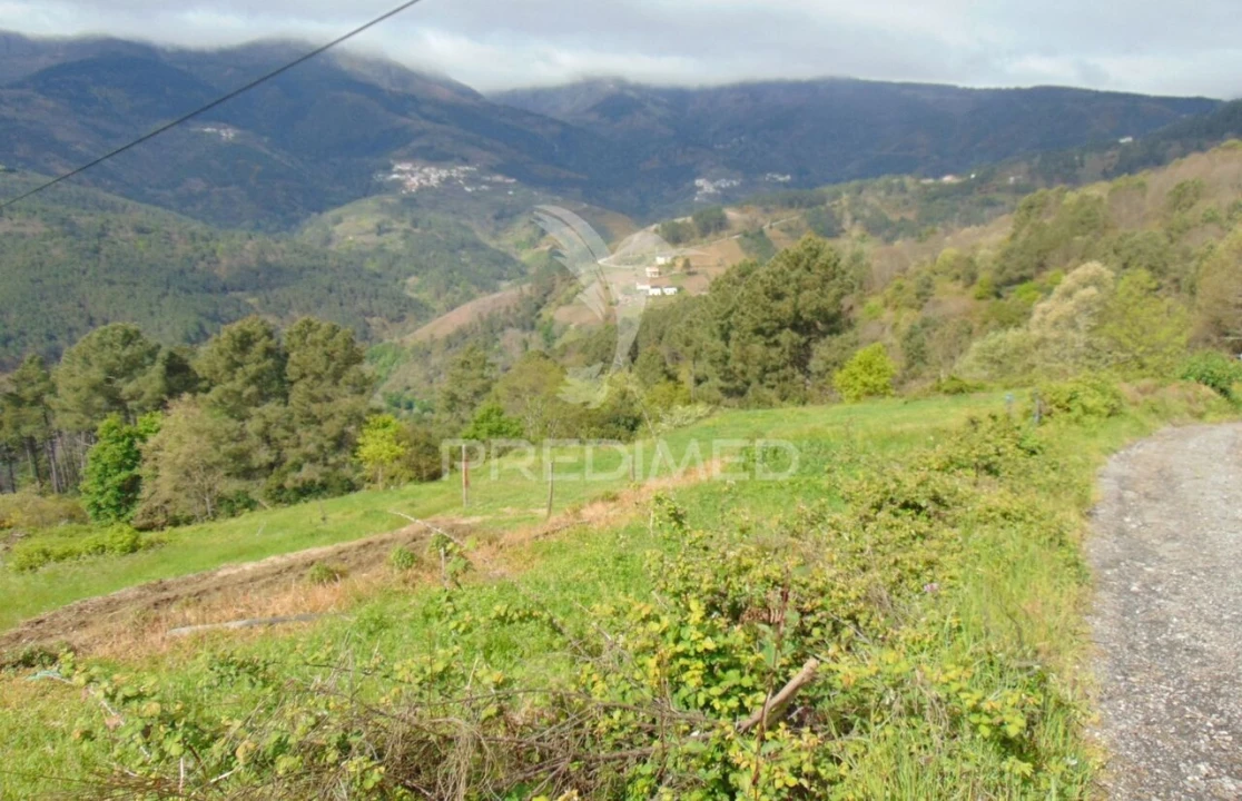 Terreno para Venda em Torgueda Foto 2