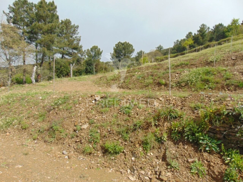 Terreno para Venda em Torgueda Foto 23