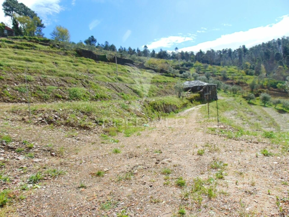 Terreno para Venda em Torgueda Foto 8