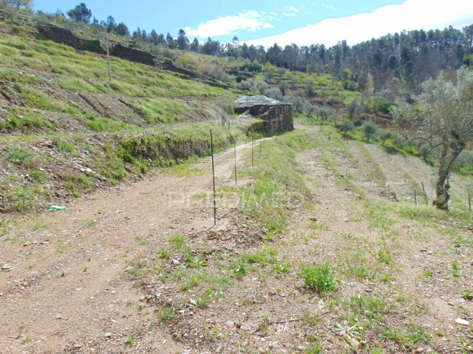 Terreno para Venda em Torgueda Foto 26
