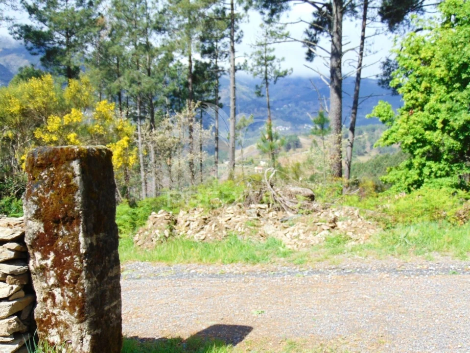 Terreno para Venda em Torgueda Foto 37