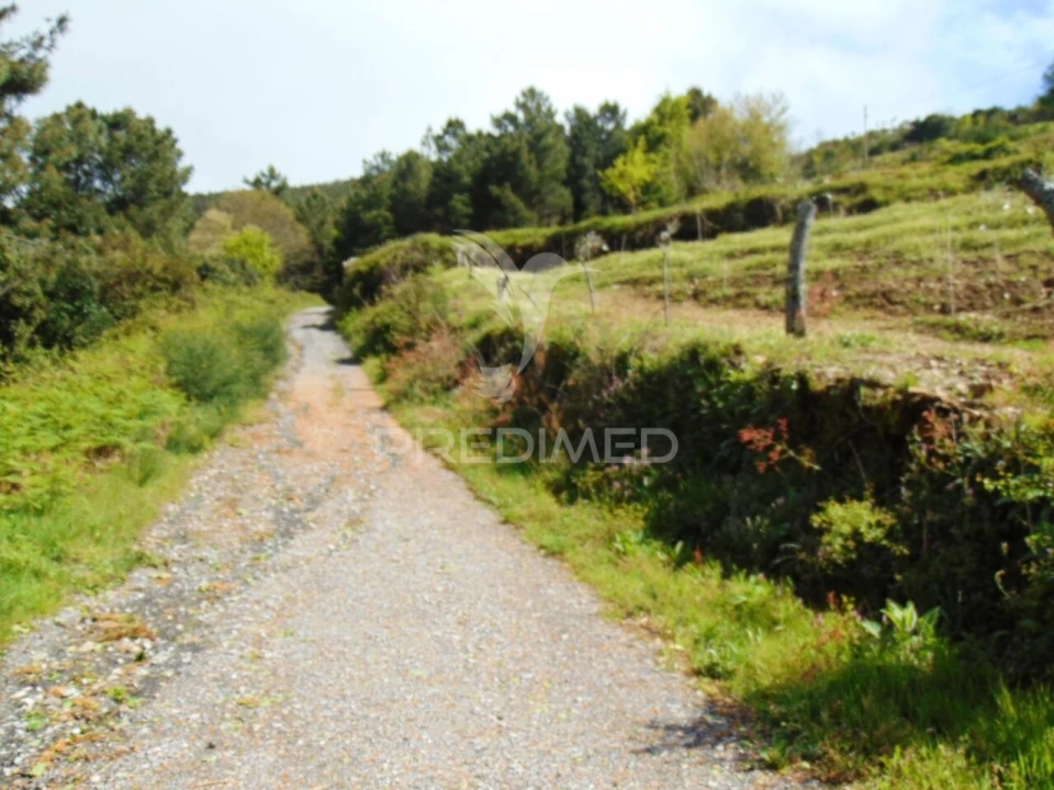 Terreno para Venda em Torgueda Foto 40